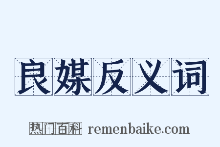 良媒反义词是什么意思的图片